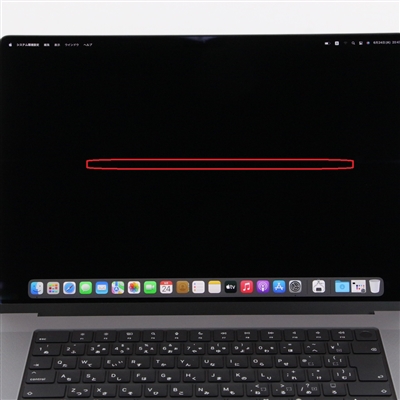 MacBook Pro (16-inch, 2021) / Apple M1 Pro / 16GB / SSD 1TB