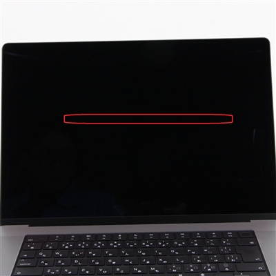 MacBook Pro (16-inch, 2021) / Apple M1 Pro / 16GB / SSD 1TB