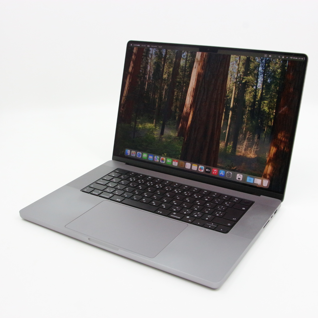 MacBook Pro (16-inch, 2021) / Apple M1 Pro / 16GB / SSD 1TB