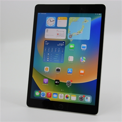 iPad (9th generation) Wi-Fi + Cellular / 64GB / 10.2-inch / シルバー