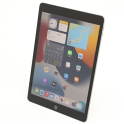 iPad (9th generation) / 256GB / 10.2-inch / スペースグレイ